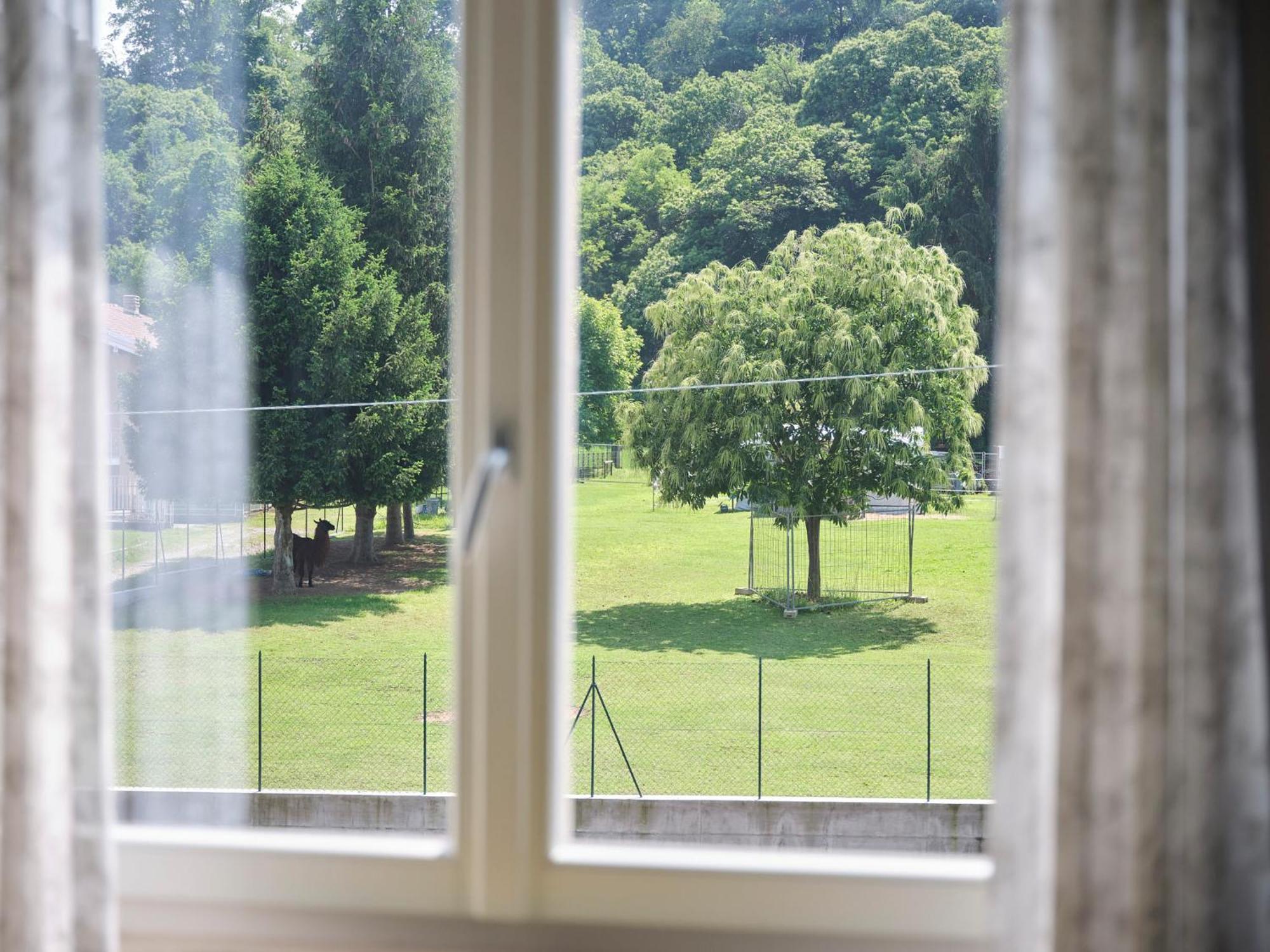 Casa Ierardi - Appartamento Arona Bellavista Eksteriør bilde